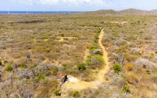 Kaya Kayena – Lot 03