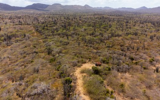 Kaya Kayena – Lot 03