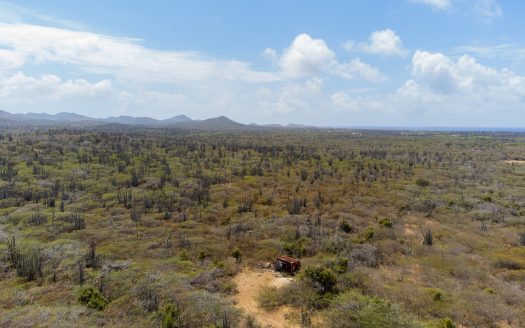 Kaya Kayena – Lot 03